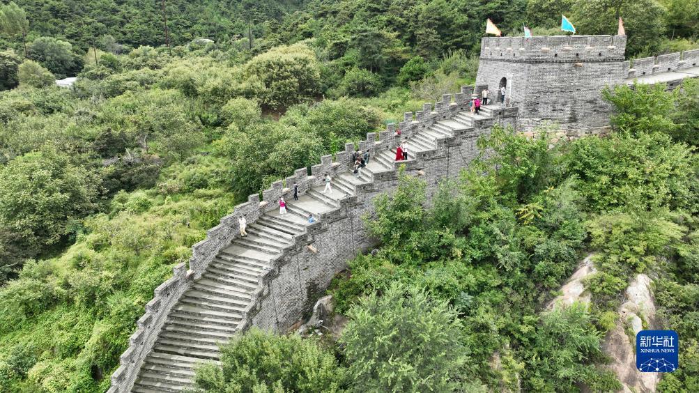 奔驰宝马游戏网址是www